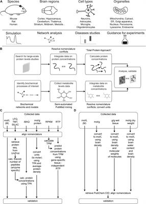 A Standardized Brain Molecular Atlas: A Resource for Systems Modeling and Simulation